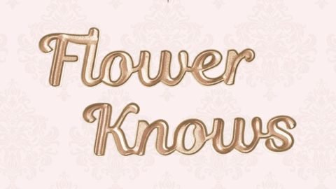 Con il mio link, 5% di sconto subito!