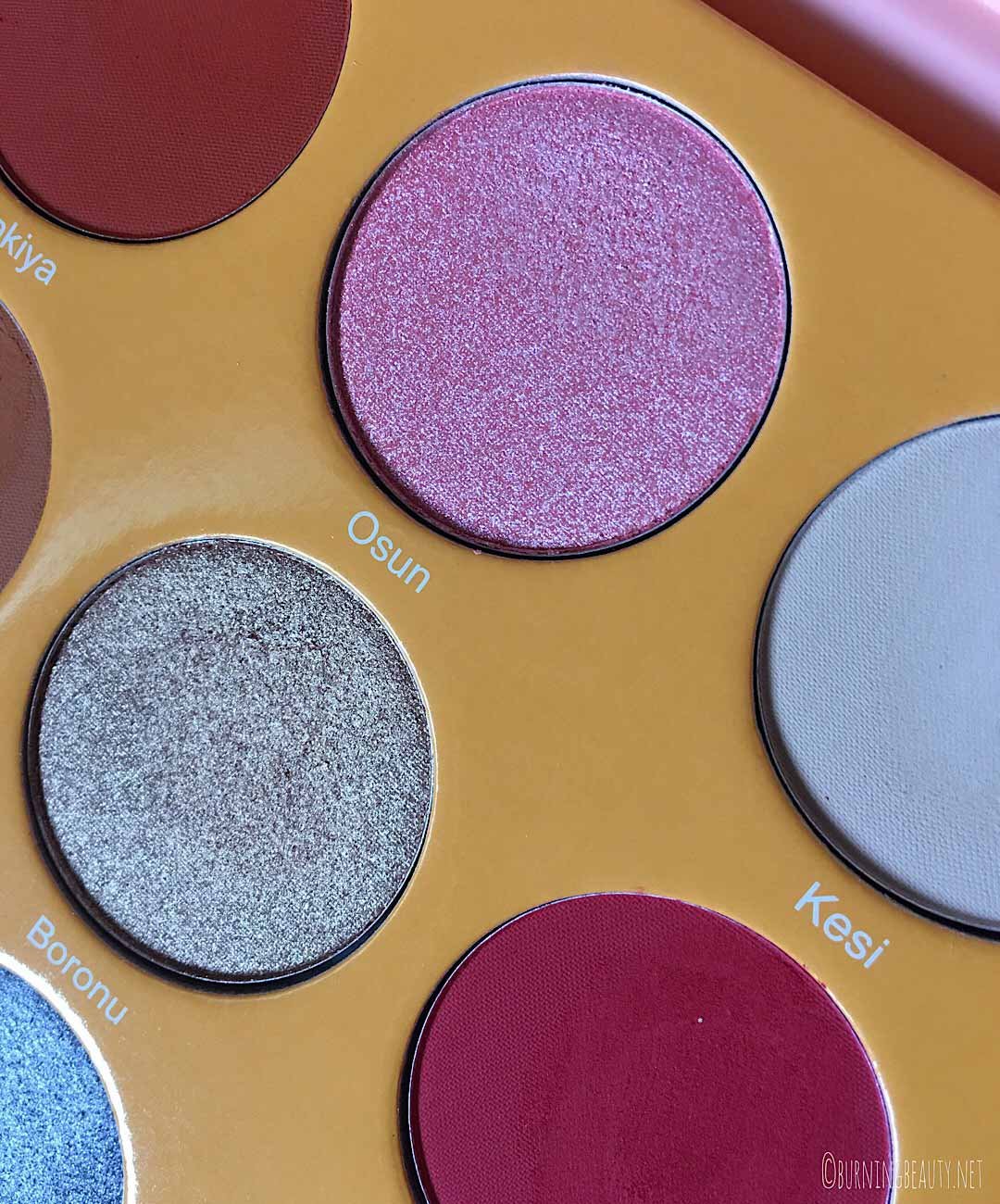 juvia's place magic palette closeup