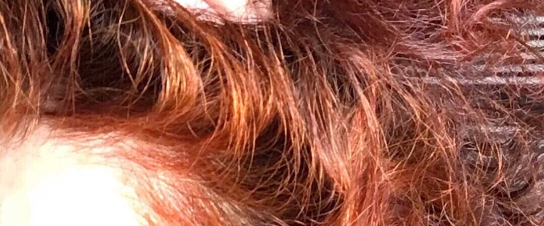 khadi henne lawsonia brave