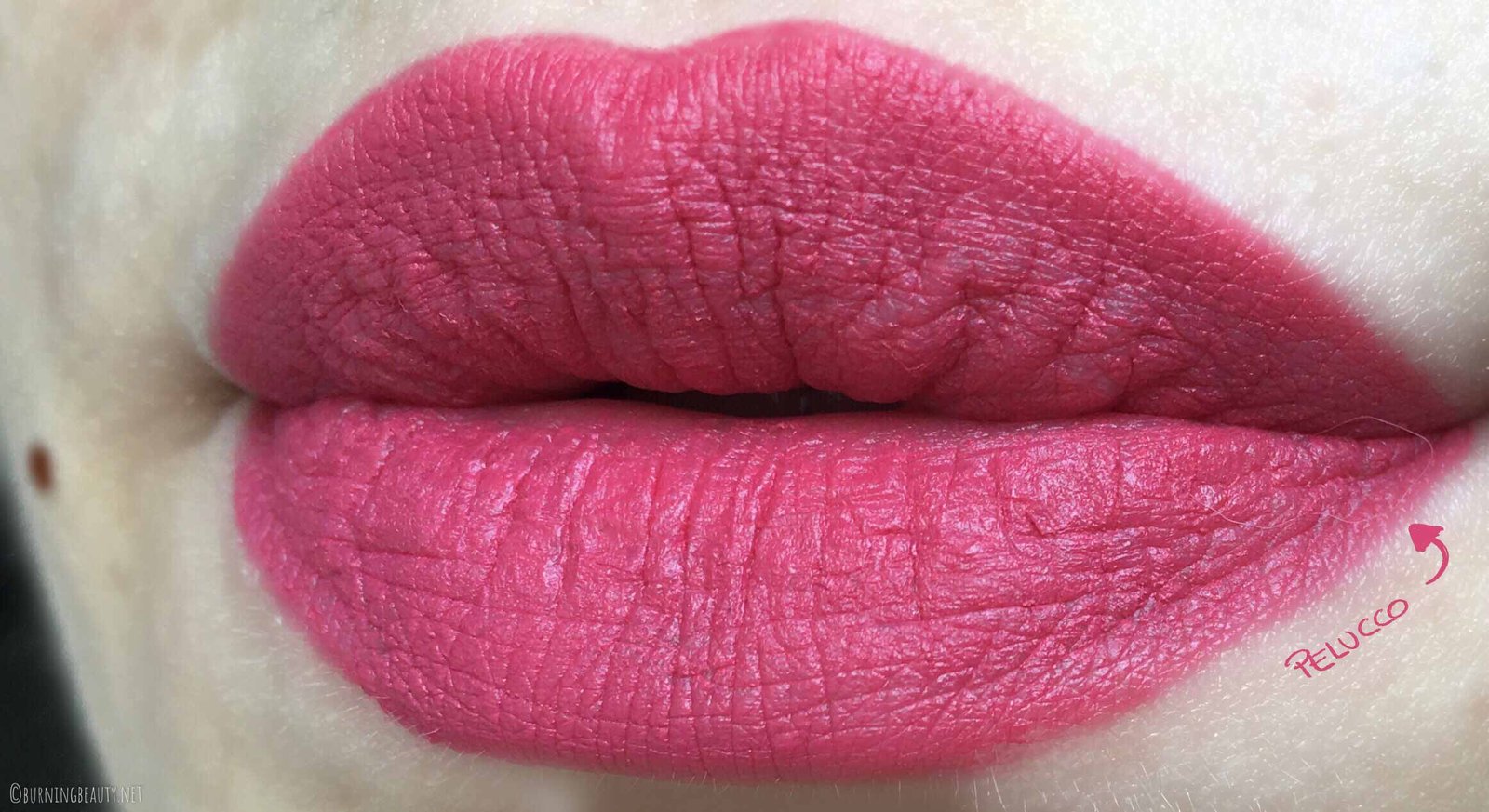 naj oleari forever matte lipstick 12 lipswatch