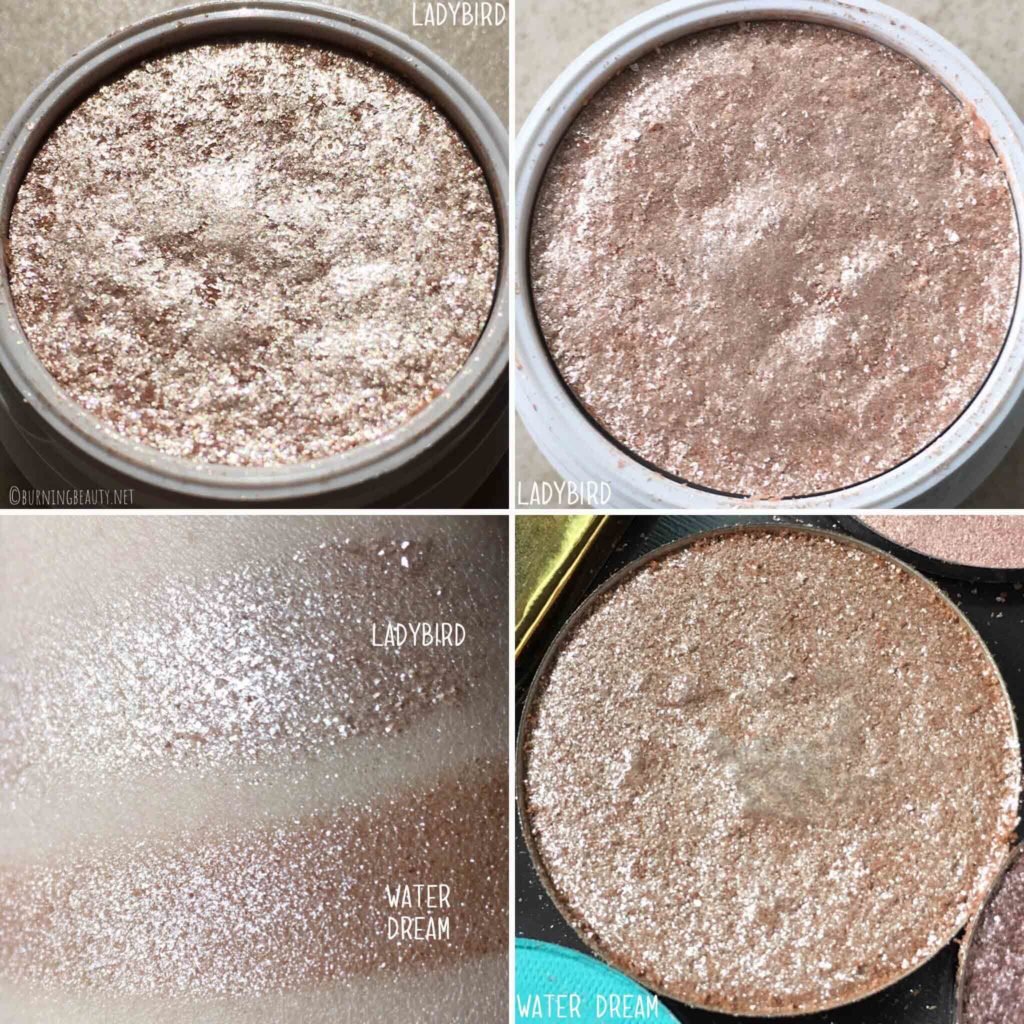 colourpop super shock shadows ladybird